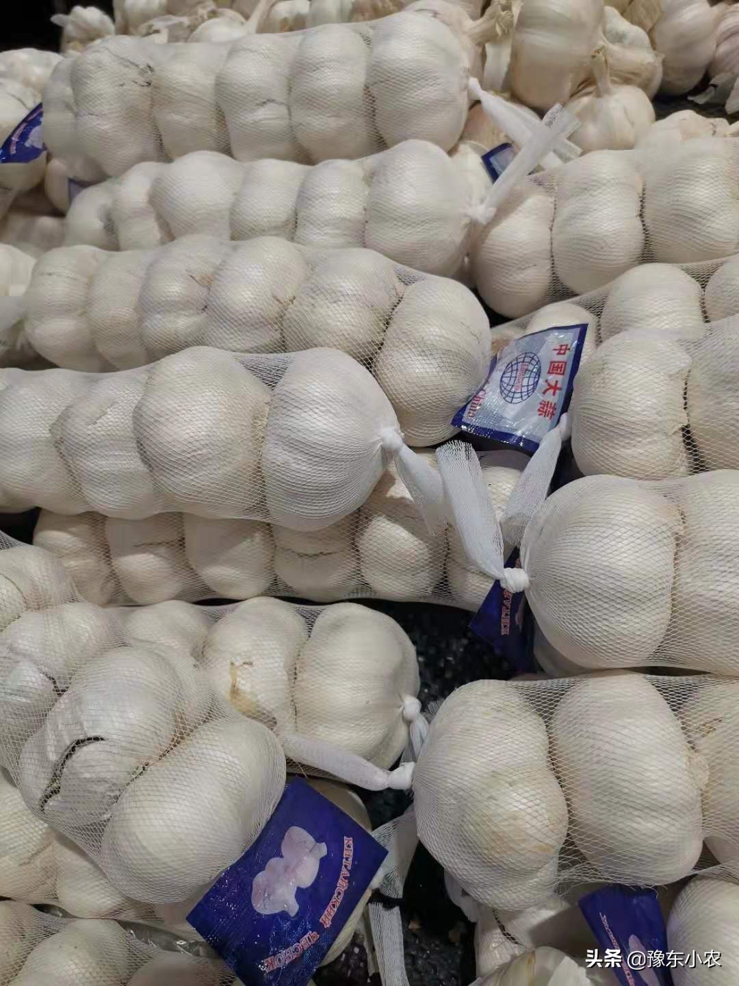 疫情过后大蒜价格预测表,新型冠状肺炎对大蒜价格有影响吗