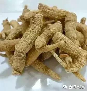 黄芪泡水喝六种人不能喝什么,黄芪泡水可用于哪些疾病