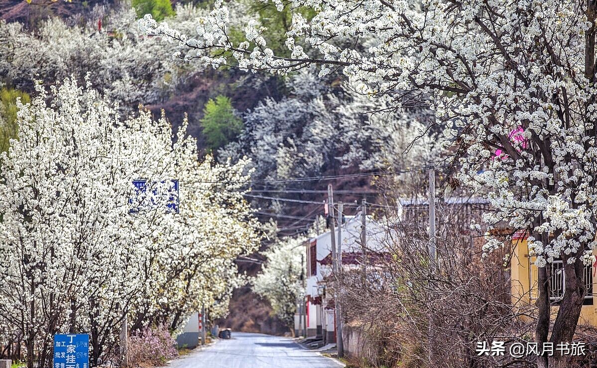 成都出发林芝旅游攻略图,金川梨花节自驾游五日线路图