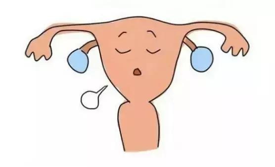 林志玲结婚了有孩子吗,林志玲冻卵费用