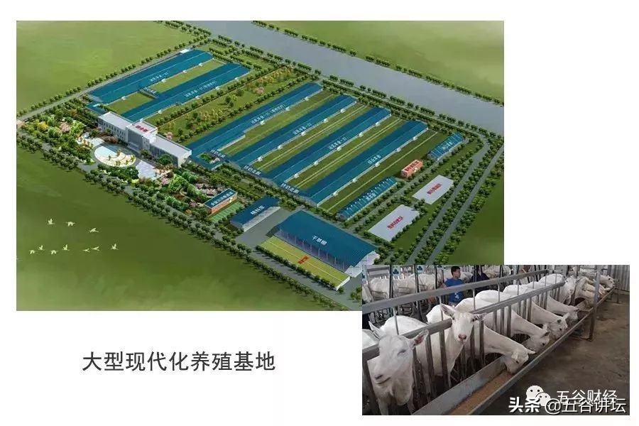 乾县羊奶收购价格最新,羊奶收购最新价格