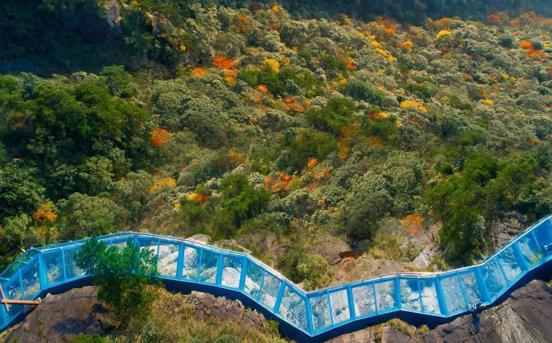 武功山有什么值得玩,武功山真的是被抖音带火的地方