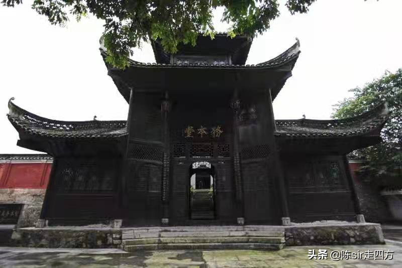 遵义花海音乐节,遵义最近有什么音乐节