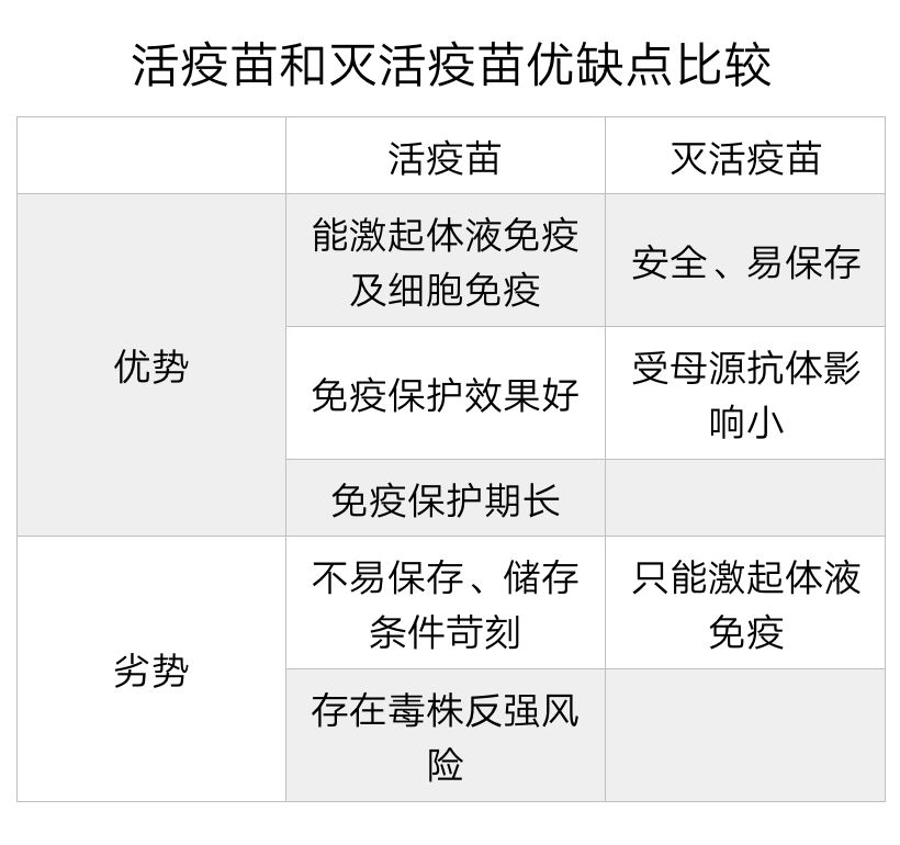 养猫咪新手入门必知疫苗怎么打,新手养猫疫苗怎么打