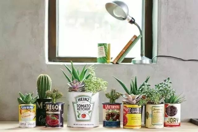 花店里买回来的鲜花怎么放更长久,花店鲜花如何保存时间可以比较长