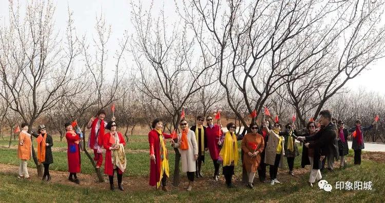 晋城哪里可以春游,晋城附近春游景点