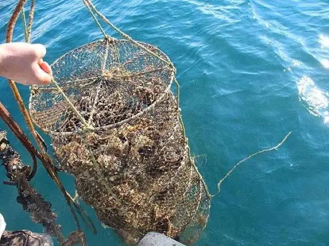 在青岛玩什么比较好,青岛该怎么玩三天两夜