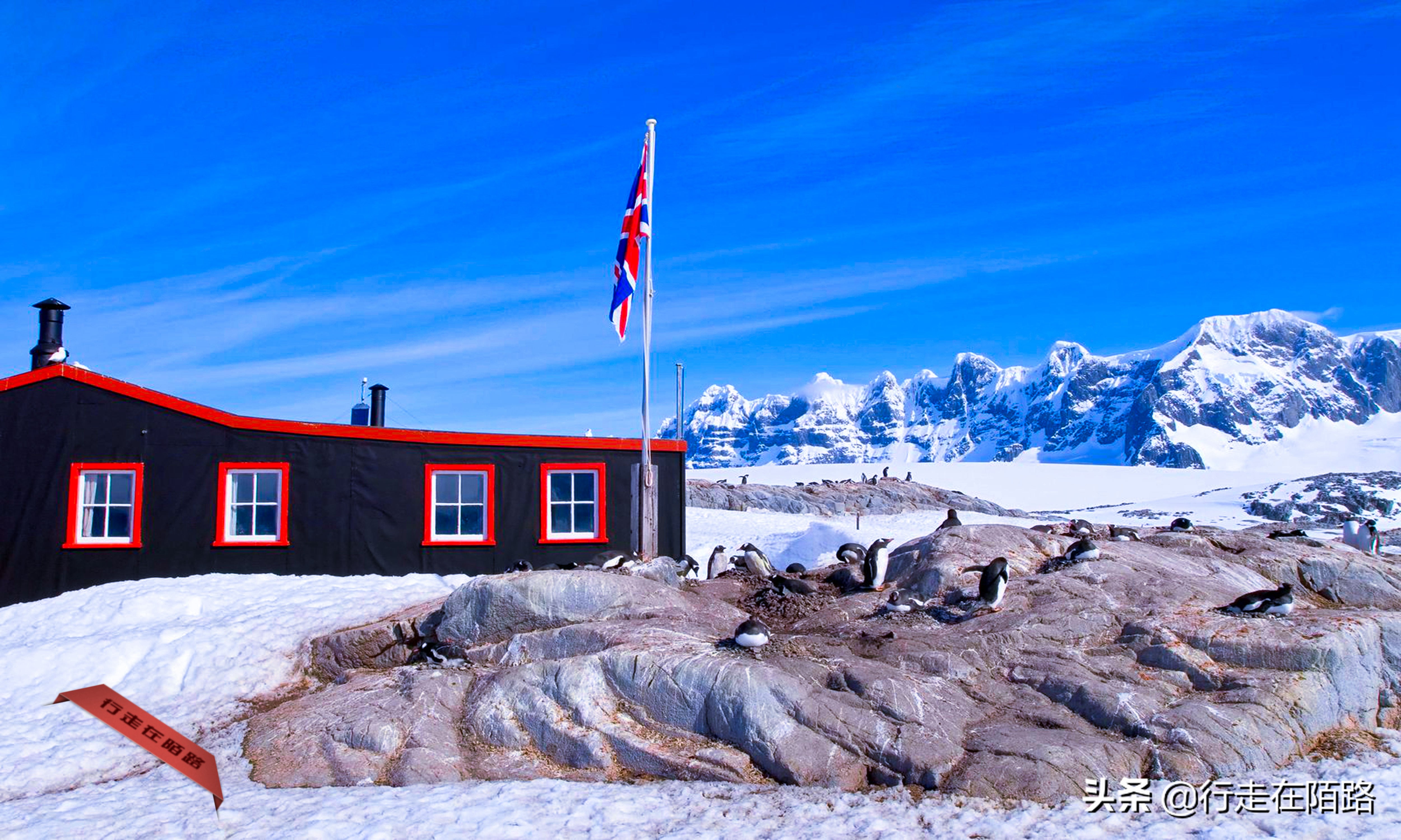 铲屎官的工资,铲屎官工资一天多少钱