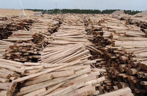 给宝宝用什么纸巾好,宝宝纸巾哪种好用