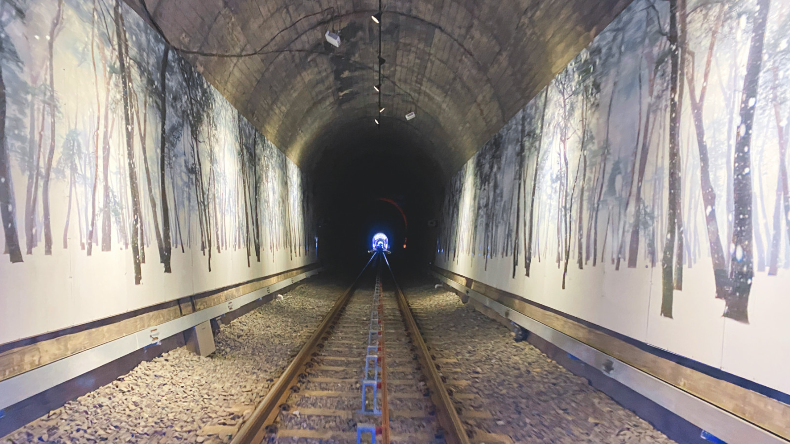 哇,人参随便挖!韩国还能这么玩