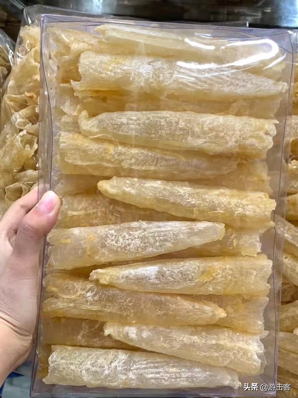 假鱼胶有腥味吗,假鱼胶的骗局