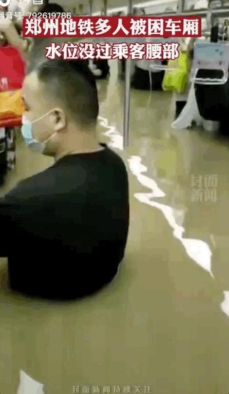 郑州遭遇特大暴雨主人带狗狗撤离,河南遭遇特大暴雨的小狗