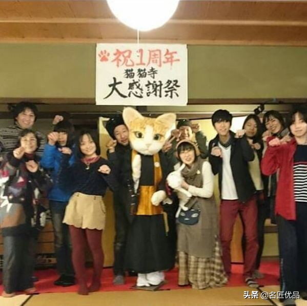 20岁少年建“猫猫寺”,和尚住持全是猫咪,网友:不敢撸不敢吸