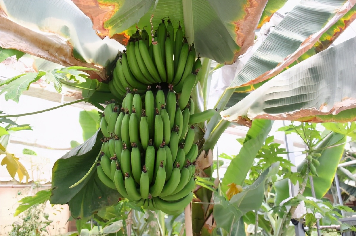 期待|这里的好玩超出想象！很多天津人还不知道！