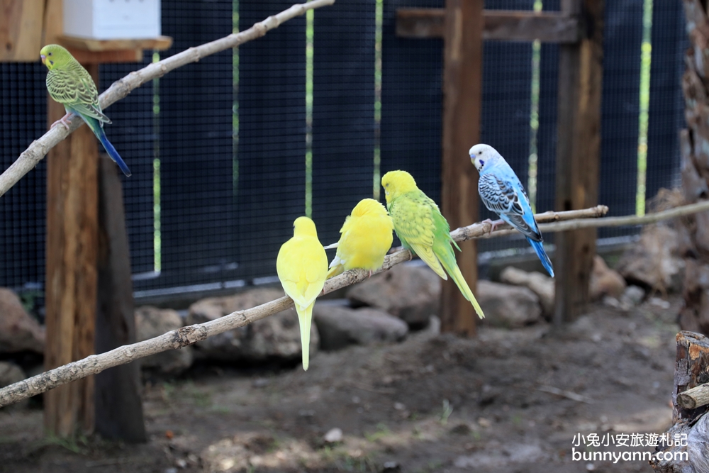 台湾绮丽粉珊瑚,台湾绮丽珊瑚工业