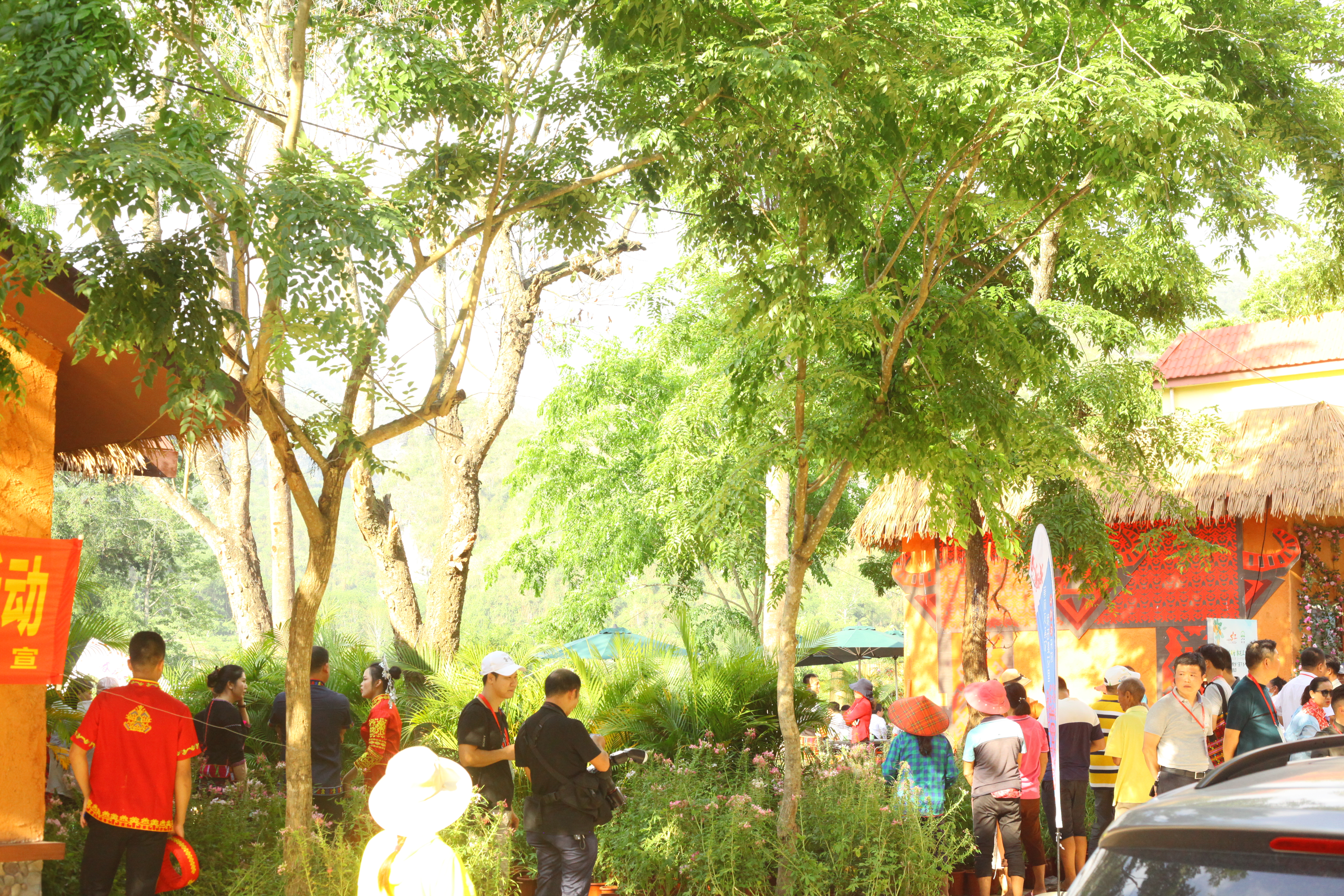 昌江梨花里视频完整版 (昌江王下乡黎花里自驾游攻略)