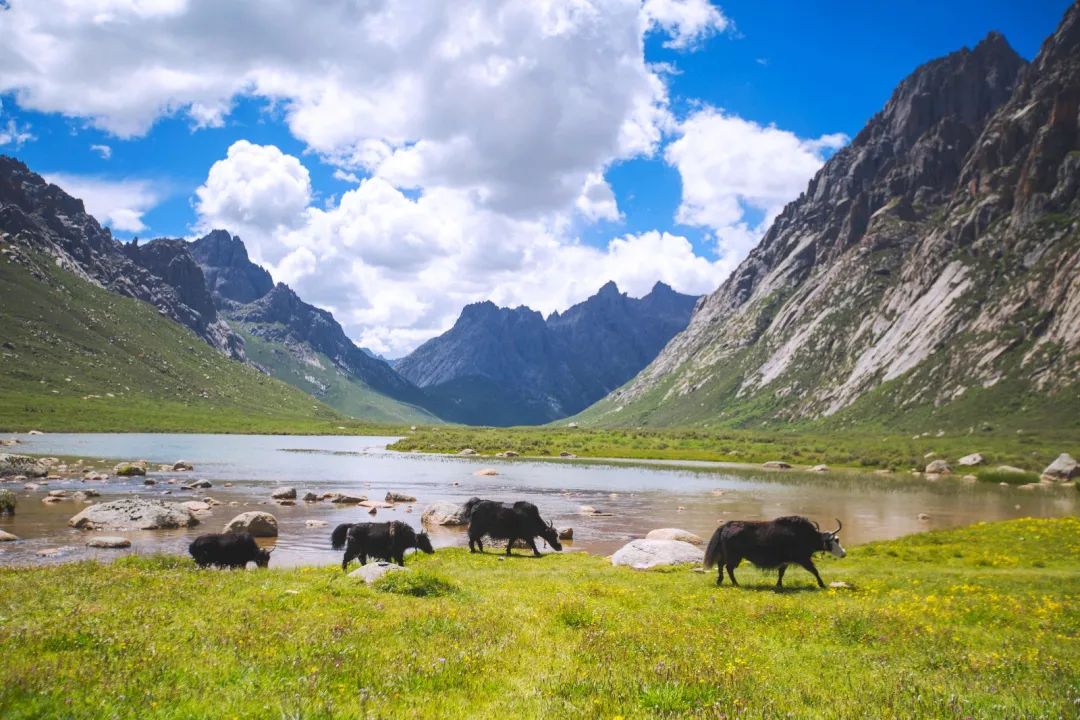 吐血整理这10条精华自驾线路,吐血整理平价精华全自用
