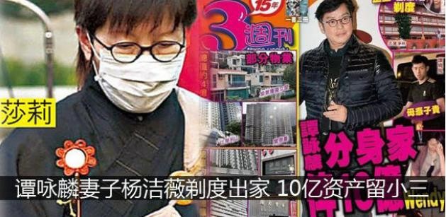 谭咏麟和他的妻子有儿子吗,谭咏麟的两位妻子及孩子