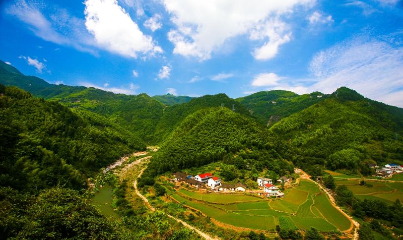 公示！我省拟推荐273个村为国家森林乡村候选村，太湖这些村上榜