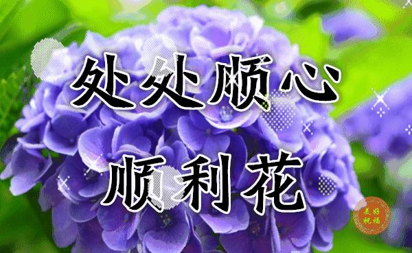 三八妇女节将至祝姐妹们节日快乐,三八妇女节提前祝女友们节日快乐