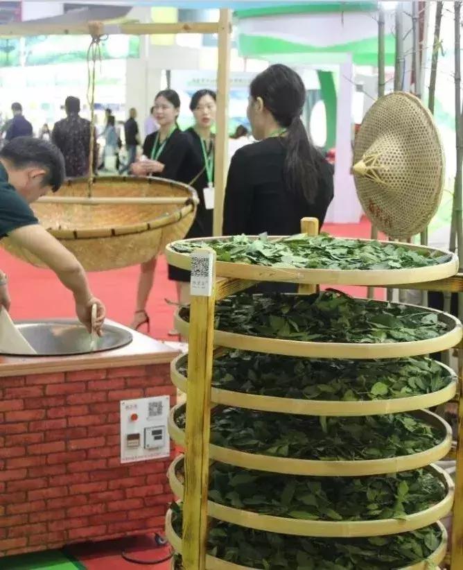 第三届国际茶博会开展！最全逛展攻略来了，附免费领门票通道