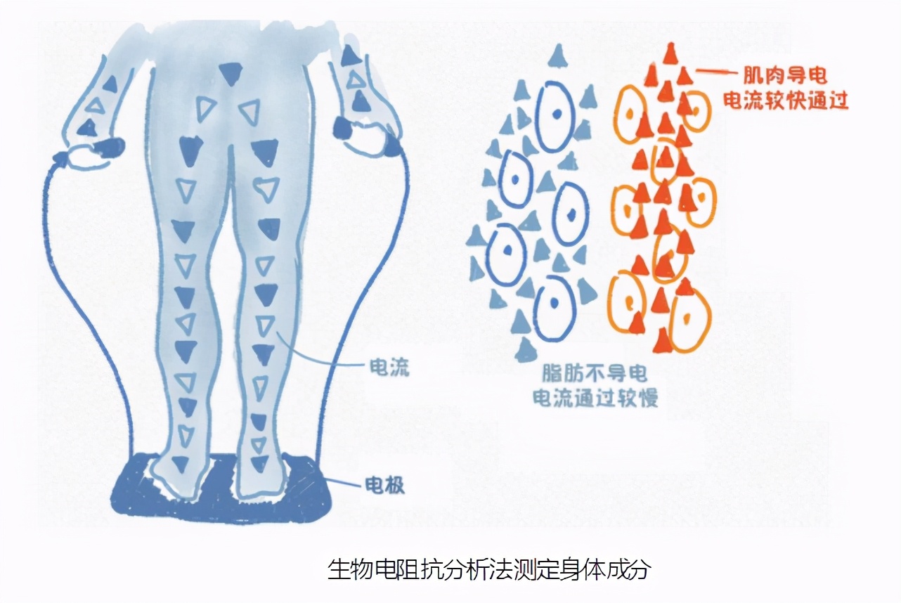 身体体质自检表您一定要测试一下,判断身体健康指数的方法
