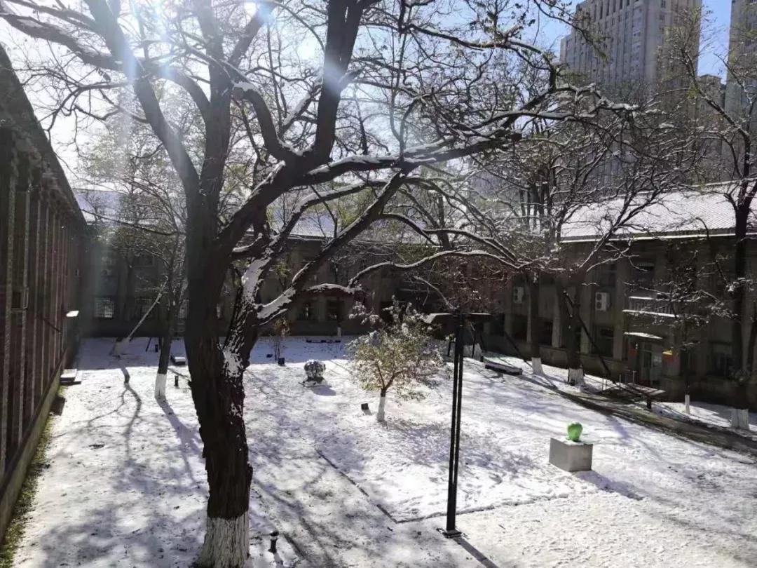 辽宁大学和鲁迅美术学院,辽宁省鲁迅美术学院是985吗