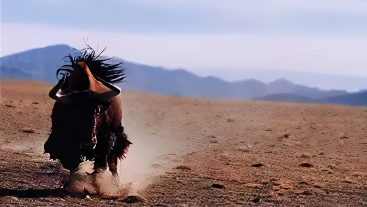 可可西里无人区为什么是人类禁区,去可可西里无人区死亡率