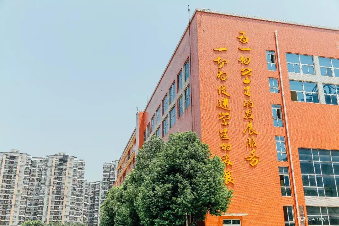 是我小瞧你了表情包,是我小瞧你了知乎