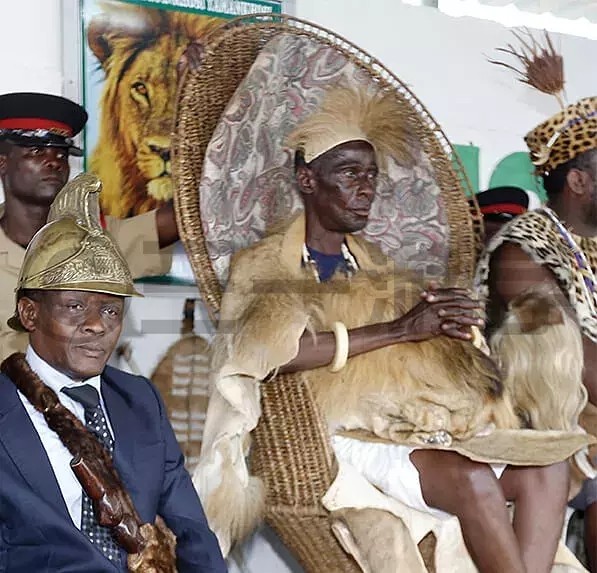 折骨、假哭、喝牛血？没想到你是这样的感恩节