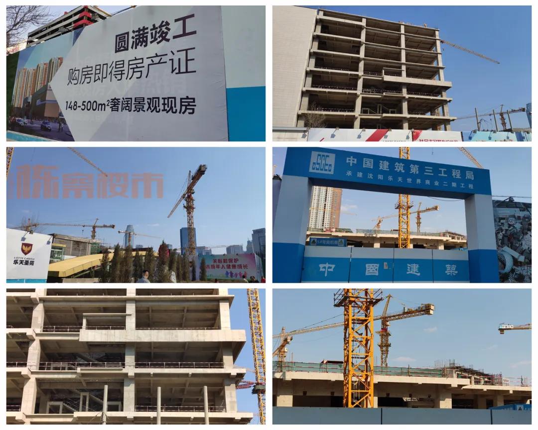 终究说再见沈城再无乐天