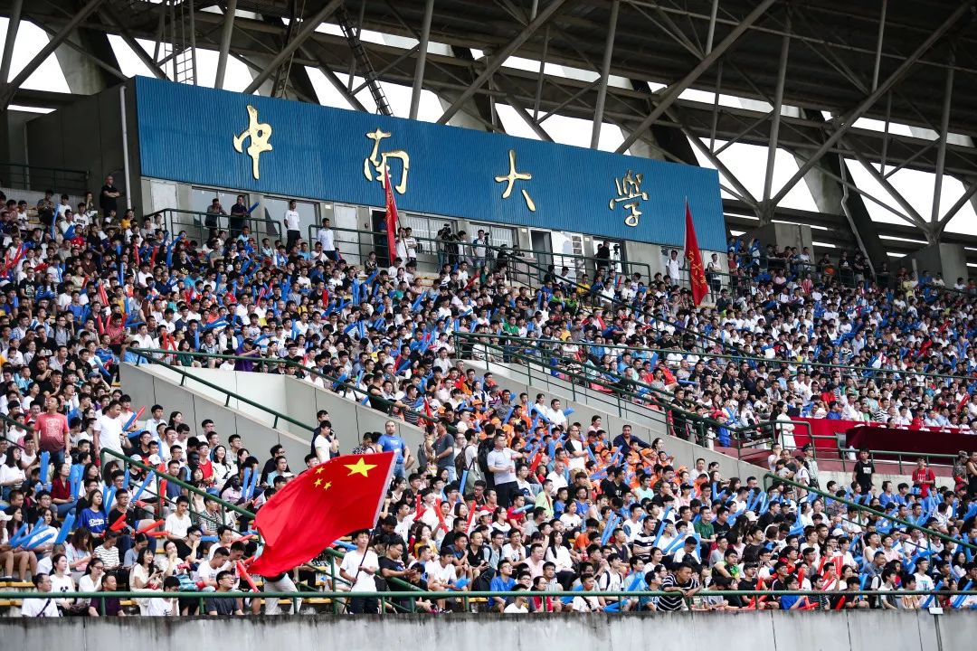 十年磨一剑打败对手,十年磨剑一朝登顶雄天下