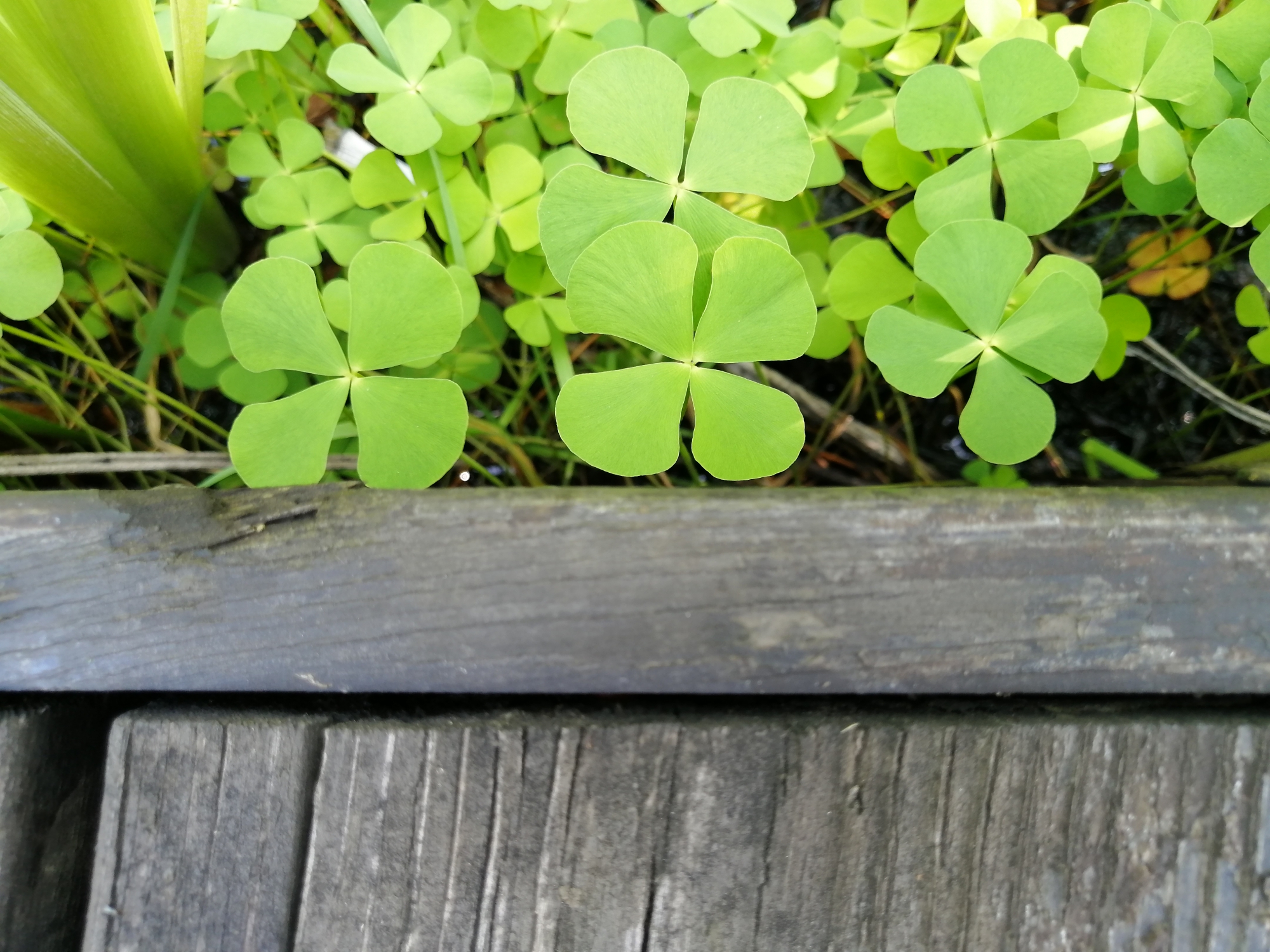 华为麦芒8测评视频,无畏前行3