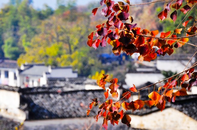 安徽中国最美三大古镇,安徽十大最美古镇