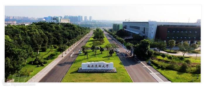 西南医科大学是985吗,西南医科大学是几类大学