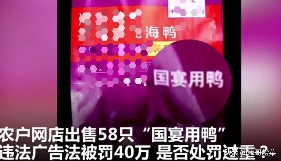 卖鸭子被罚40万新闻,农村卖鸭被罚40万
