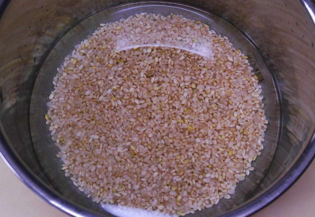 怎么煮出又软又糯的糙米饭,糙米饭怎么煮更软糯过程