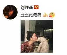 刘亦菲晒出游美照超迷人,32岁刘亦菲久违晒出最新美照