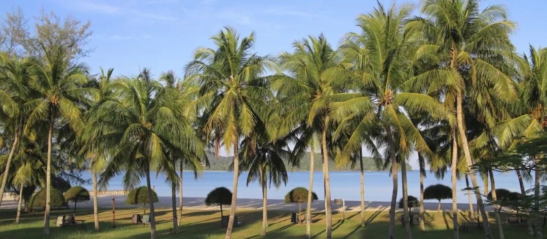 成都宝妈：孩子征服世界的第一站