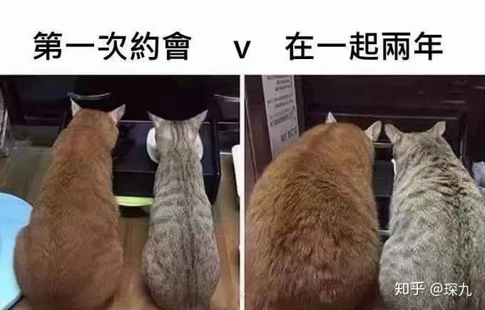 又短又能让人笑窒息的笑话,有什么可以让人笑抽的笑话