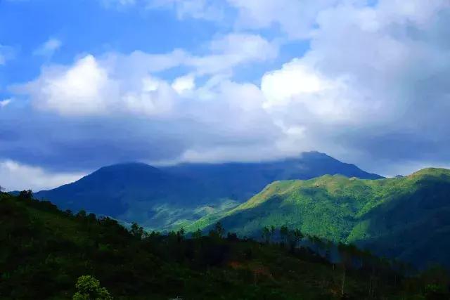 深汕生日快乐,深圳经济特区的生日