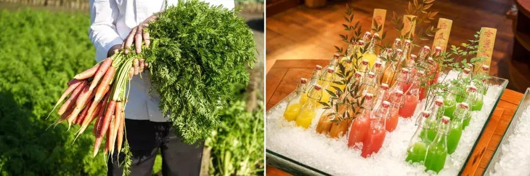 中国最闲适的城市,中国最悠闲城市