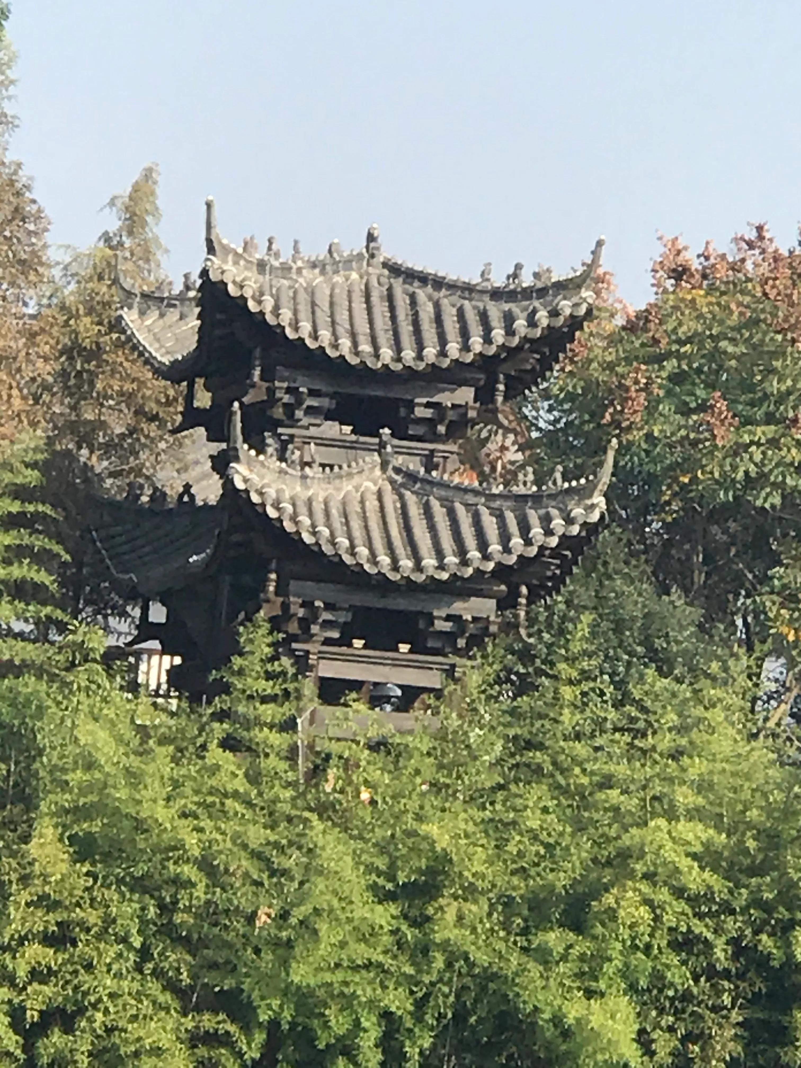 洋沙湖湿地公园游记,洋沙湖游记作文