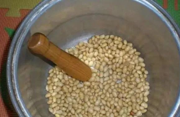 绿萝忘浇水黄叶怎么治疗让它变绿,绿萝文竹总发黄1招让它绿油油