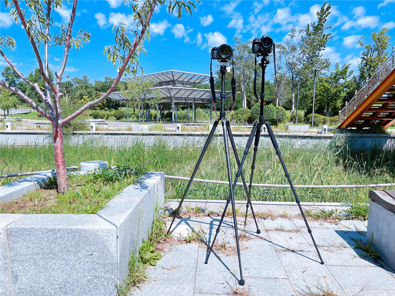 马小路碳纤维三脚架,马小路碳纤维三脚架推荐