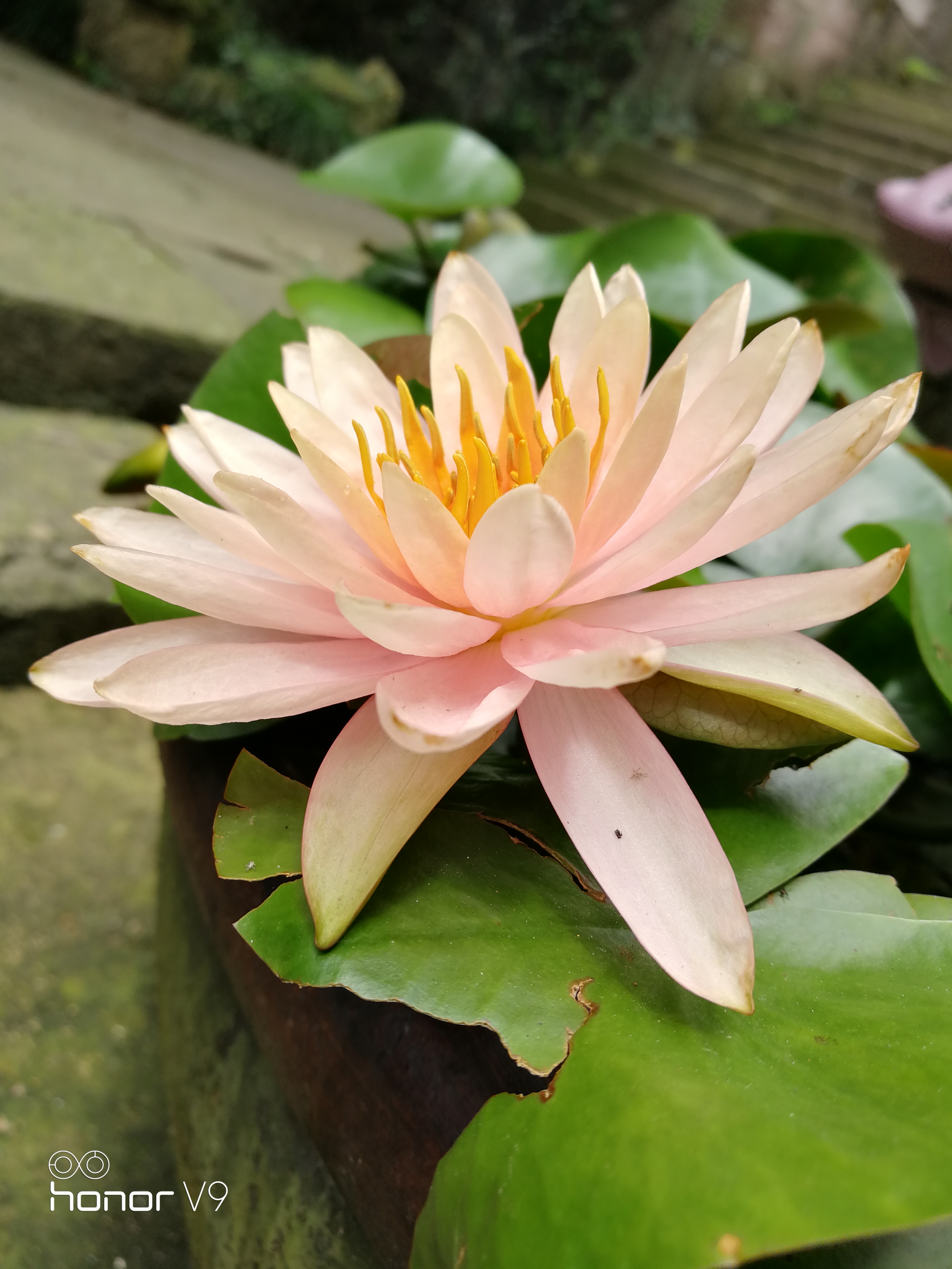 福建省高校大排名，第1第2名很稳定，那么福建农林大学是第3吗？