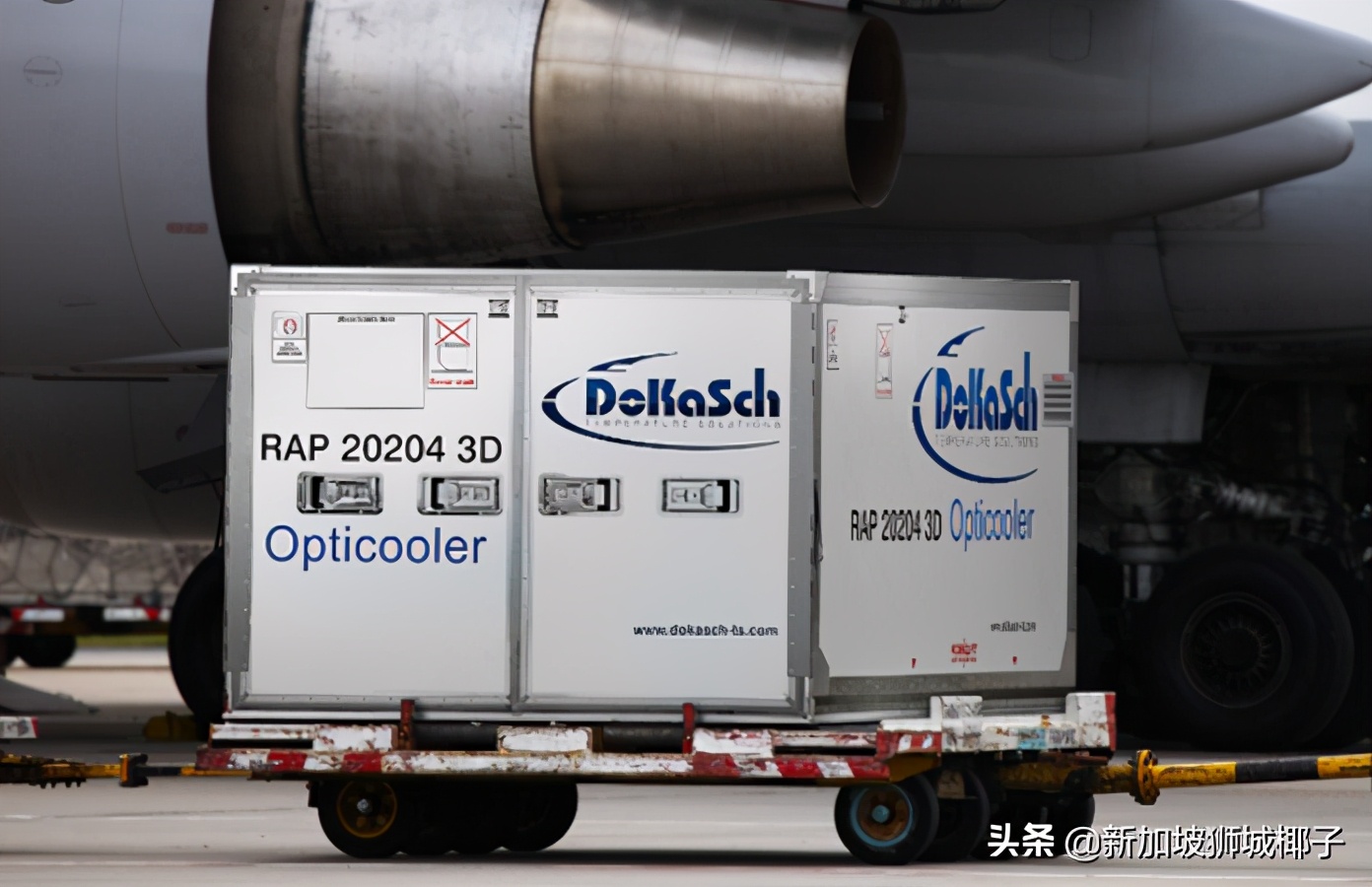 新加坡航空麻将,新加坡航空876