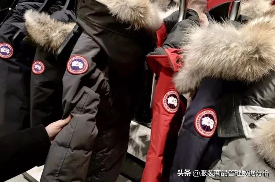 全球羽绒服市场下滑 (波司登羽绒服发展现状)