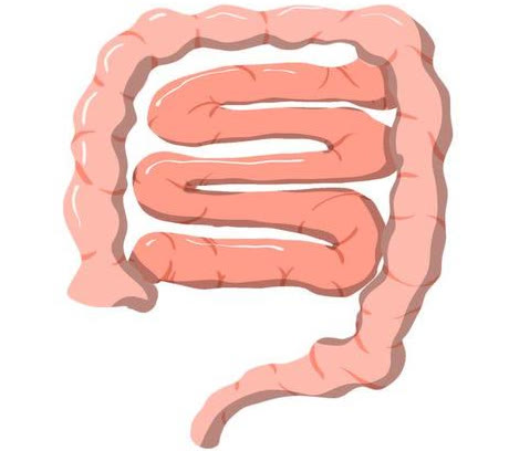 甲硝唑一瓶多少钱,最便宜的甲硝唑