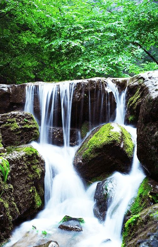 在石家庄生活需要什么条件,在石家庄生活中的技巧